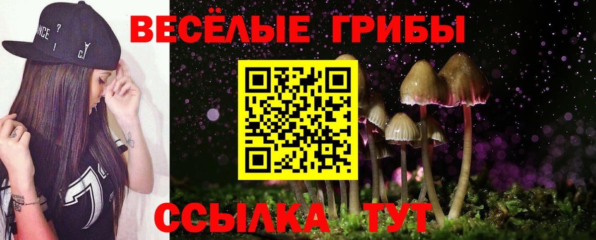 Псилоцибиновые грибы GOLDEN TEACHER  Вход с VPN  Галлюциногенные грибы прущие грибы  Сосновоборск 